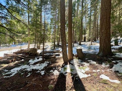 84 Yonkalla Trail, Graeagle, CA 96103 Photo