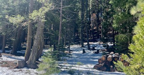 84 Yonkalla Trail, Graeagle, CA 96103 Photo