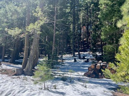 84 Yonkalla Trail, Graeagle, CA 96103 Photo