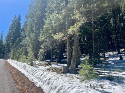 84 Yonkalla Trail, Graeagle, CA 96103 Photo