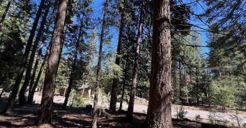 84 Yonkalla Trail, Graeagle, CA 96103 Photo