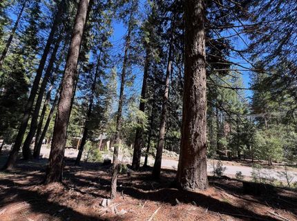 84 Yonkalla Trail, Graeagle, CA 96103 Photo