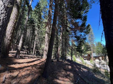 84 Yonkalla Trail, Graeagle, CA 96103 Photo