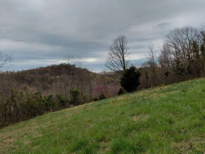 97 Bethel Road, Patriot, OH 45658 Photo 17