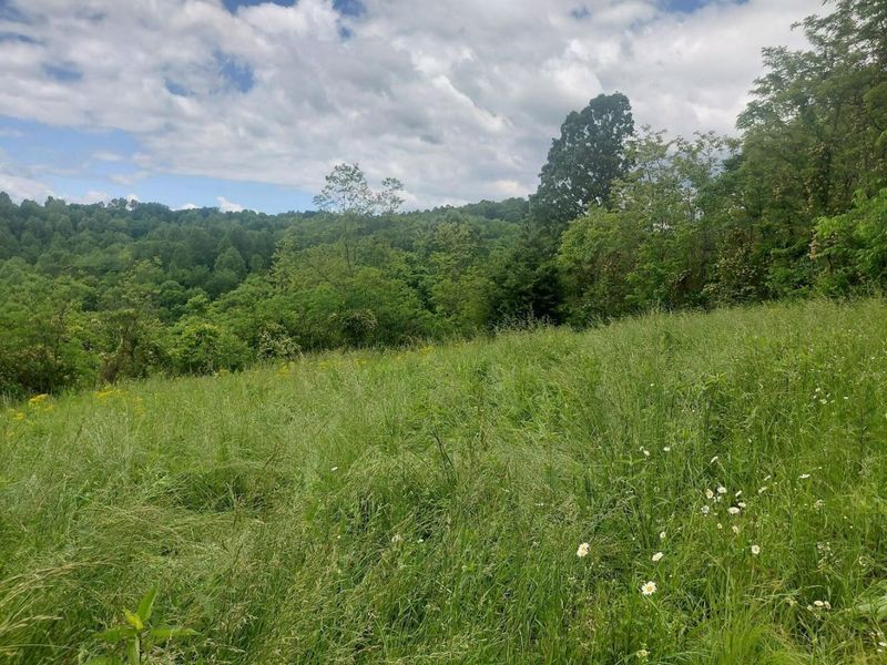 97 Bethel Road, Patriot, OH 45658 Photo 20