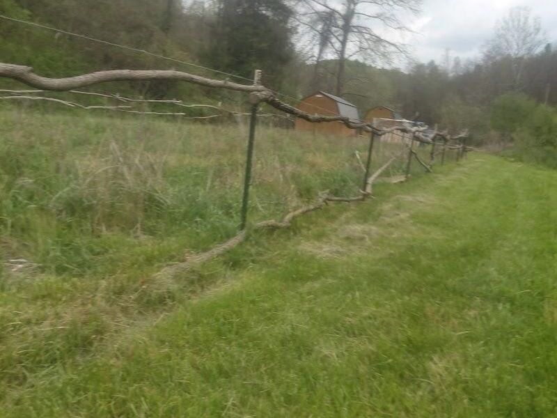 97 Bethel Road, Patriot, OH 45658 Photo 22