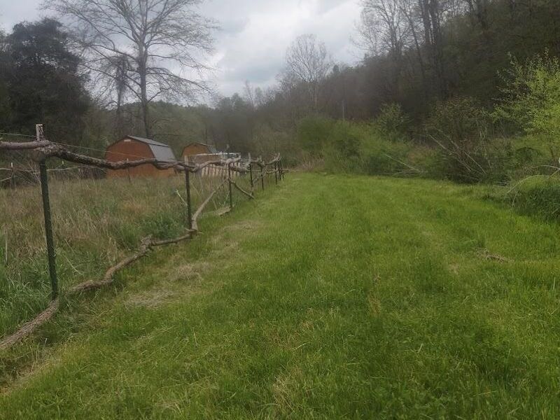 97 Bethel Road, Patriot, OH 45658 Photo 23