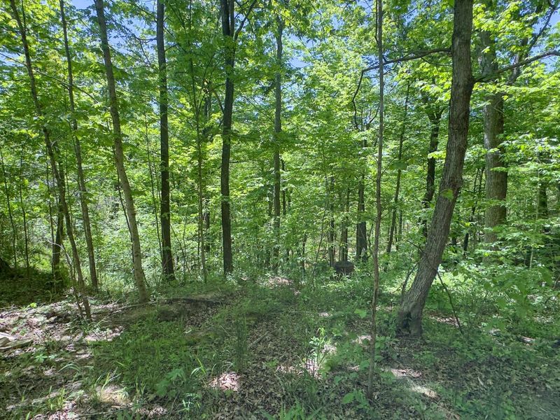 97 Bethel Road, Patriot, OH 45658 Photo 25