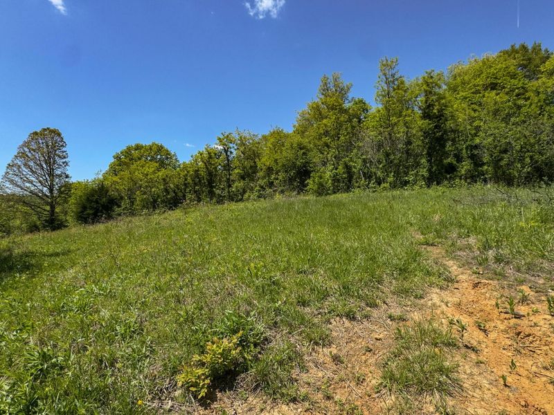 97 Bethel Road, Patriot, OH 45658 Photo 30