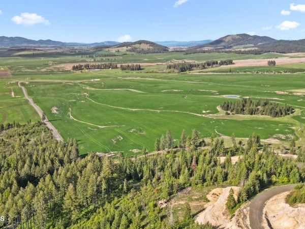 Lot 1 Lone Moose Dr, Plummer, ID 83851