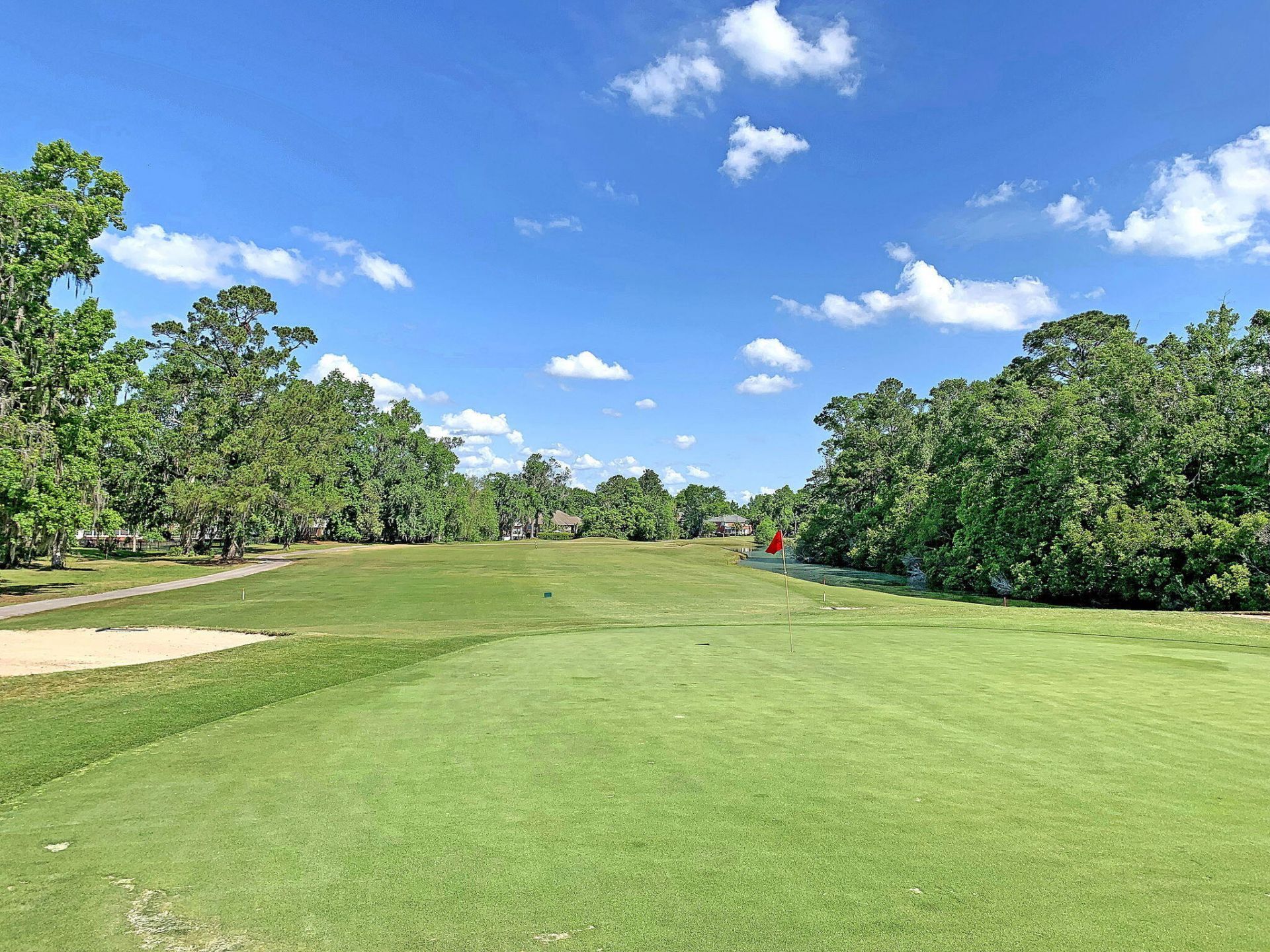 410 Carolina Cherry Court Photo 43