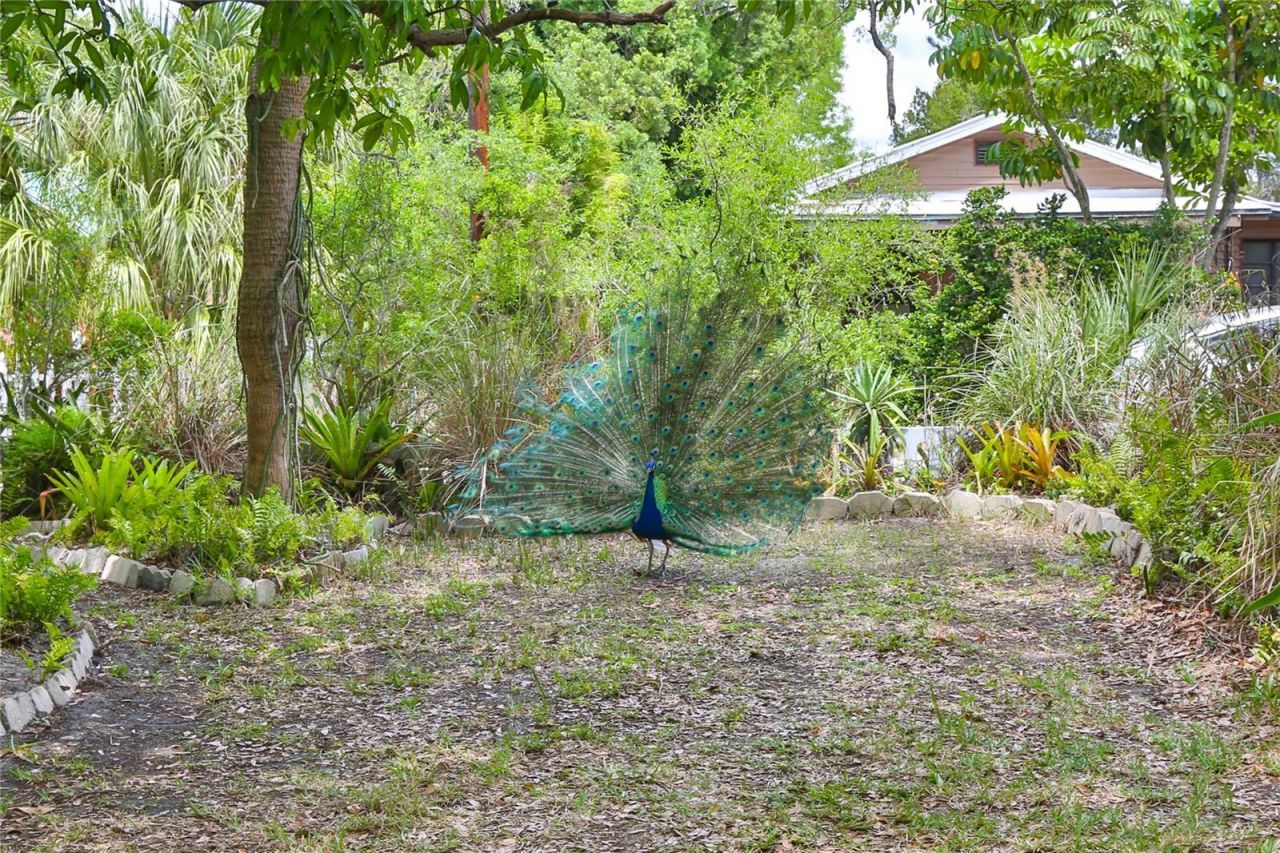 708 42nd Street , Sarasota, FL 34234 Photo