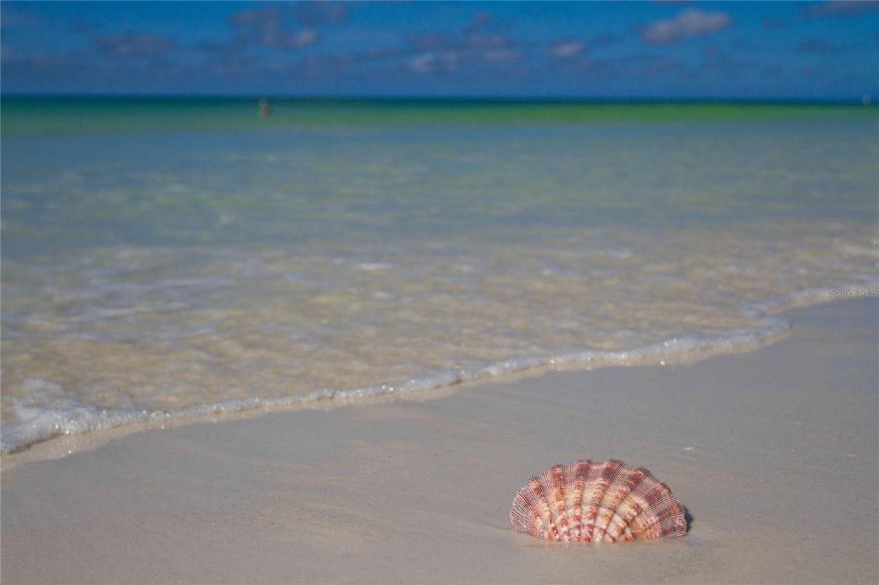 708 42nd Street , Sarasota, FL 34234 Photo