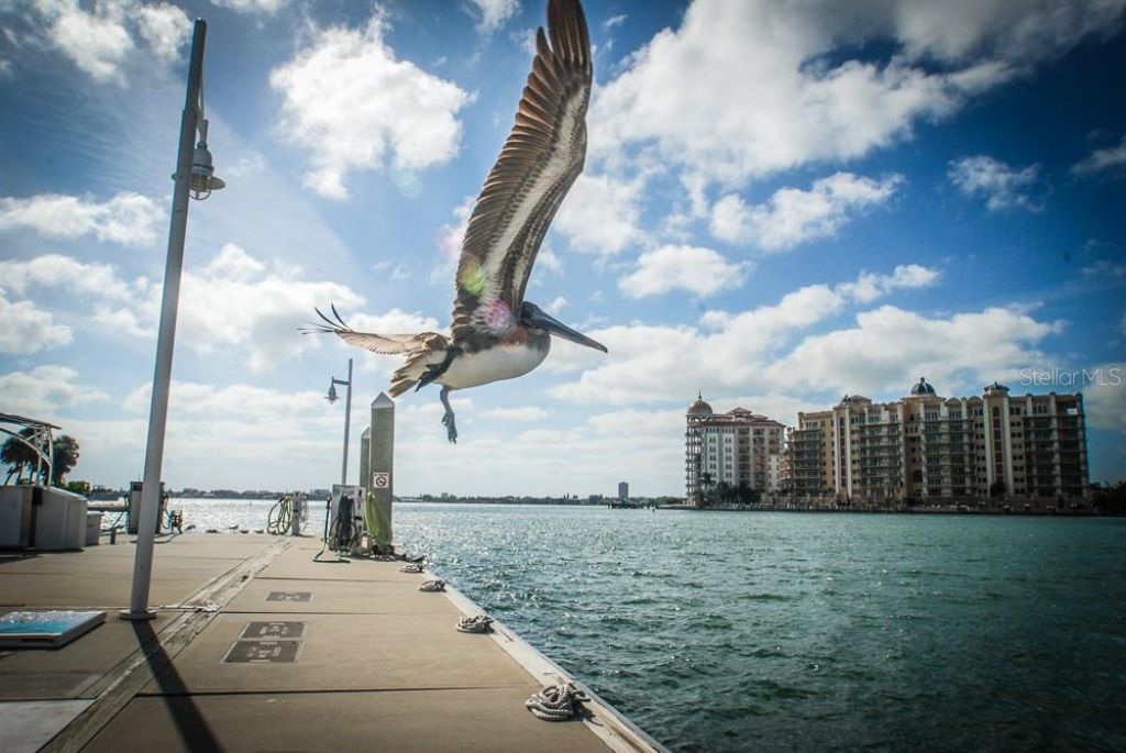 708 42nd Street , Sarasota, FL 34234 Photo