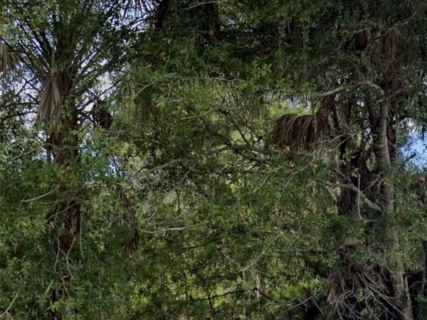 3439 TIFFINY STREET , PUNTA GORDA, FL 33980