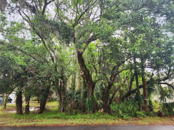 BROOKLINE AVENUE , NEW SMYRNA BEACH, FL 32168