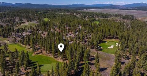 524 Lars Haugen, Truckee, CA 96161 Photo