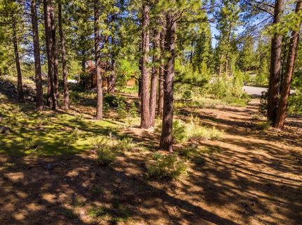 524 Lars Haugen, Truckee, CA 96161 Photo