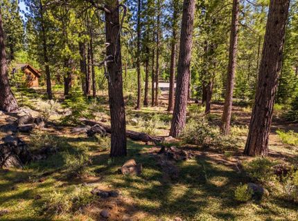 524 Lars Haugen, Truckee, CA 96161 Photo