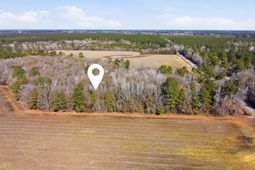 Not Specified photo 4