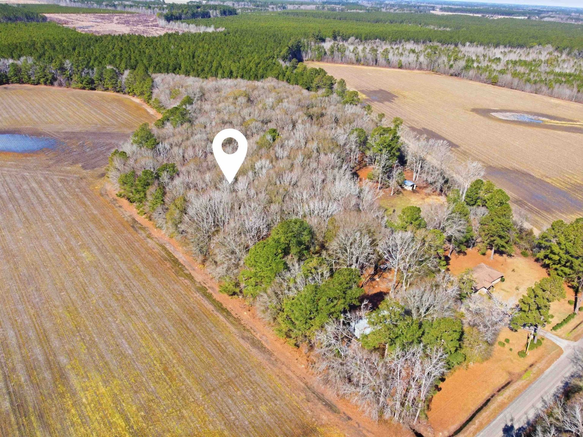 Not Specified Photo 4