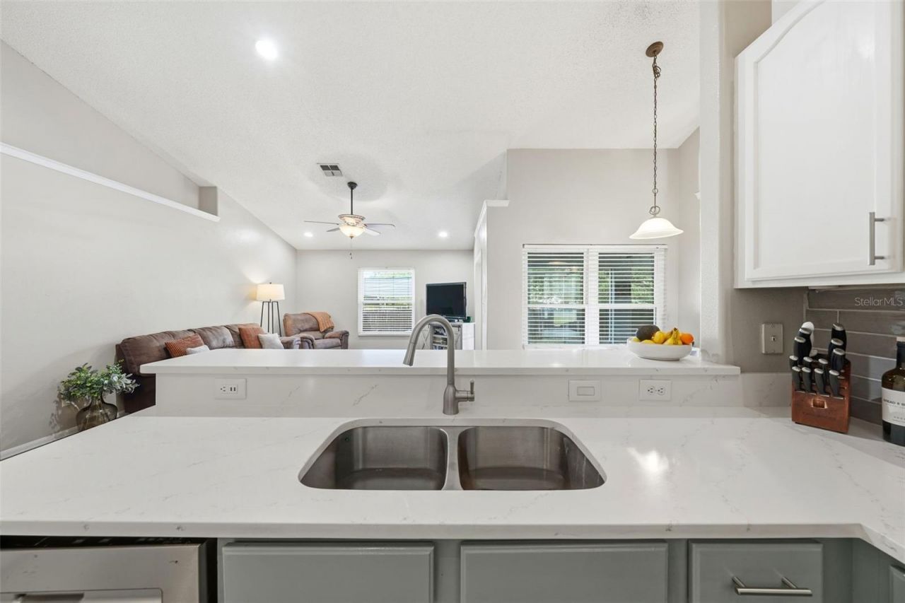 2505 Carmel Lane, Eustis, FL 32726 Photo