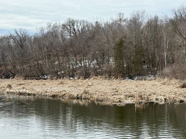 TBD Basswood Drive, Sauk Centre, MN 56378