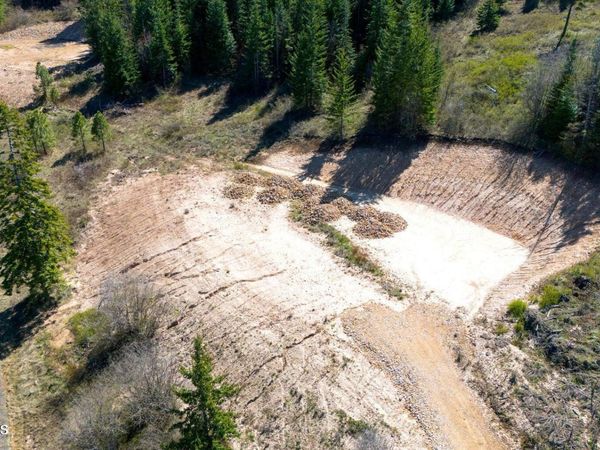 Lot 3 Lone Moose Dr, Plummer, ID 83851