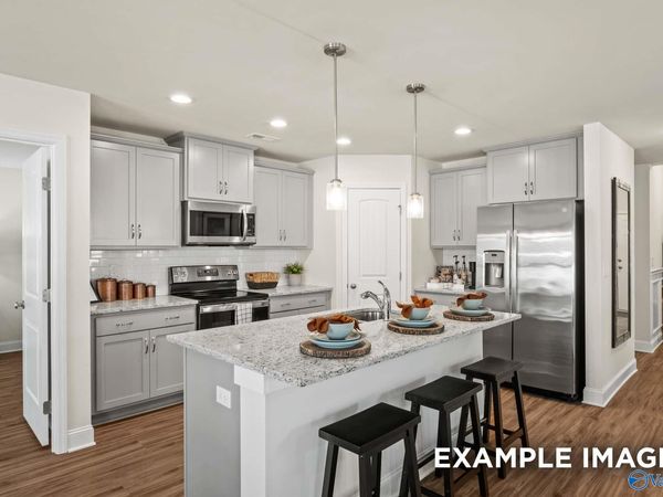 132 Luxor Avenue, Owens Cross Roads, AL 35763