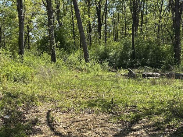 703B Agricola Drive, Gadsden, AL 35904