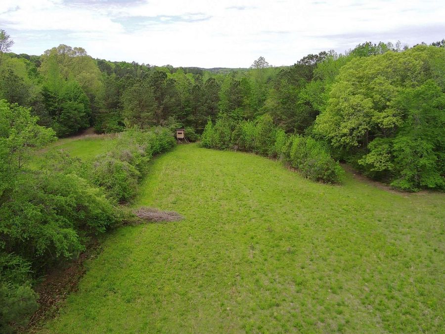 Property Image 33