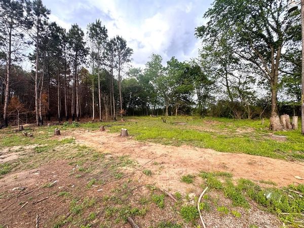 215 CR 4205, Naples, TX 75568