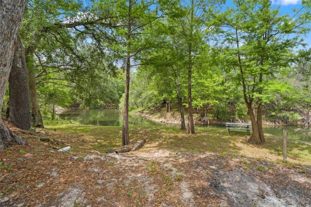 33013 Round Table Road, Ridge Manor, FL 33523 Photo