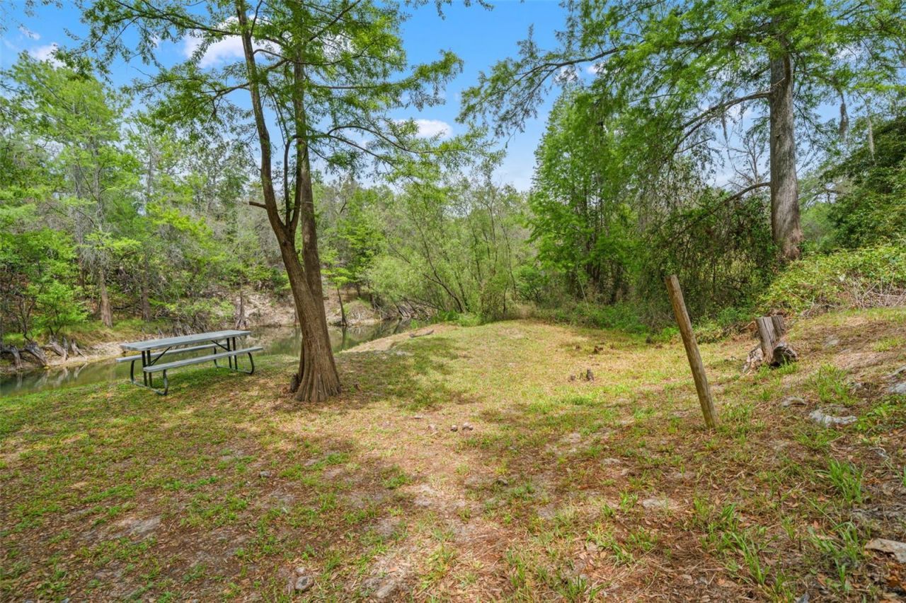 33013 Round Table Road, Ridge Manor, FL 33523 Photo