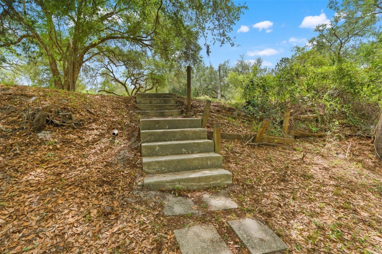 33013 Round Table Road, Ridge Manor, FL 33523 Photo