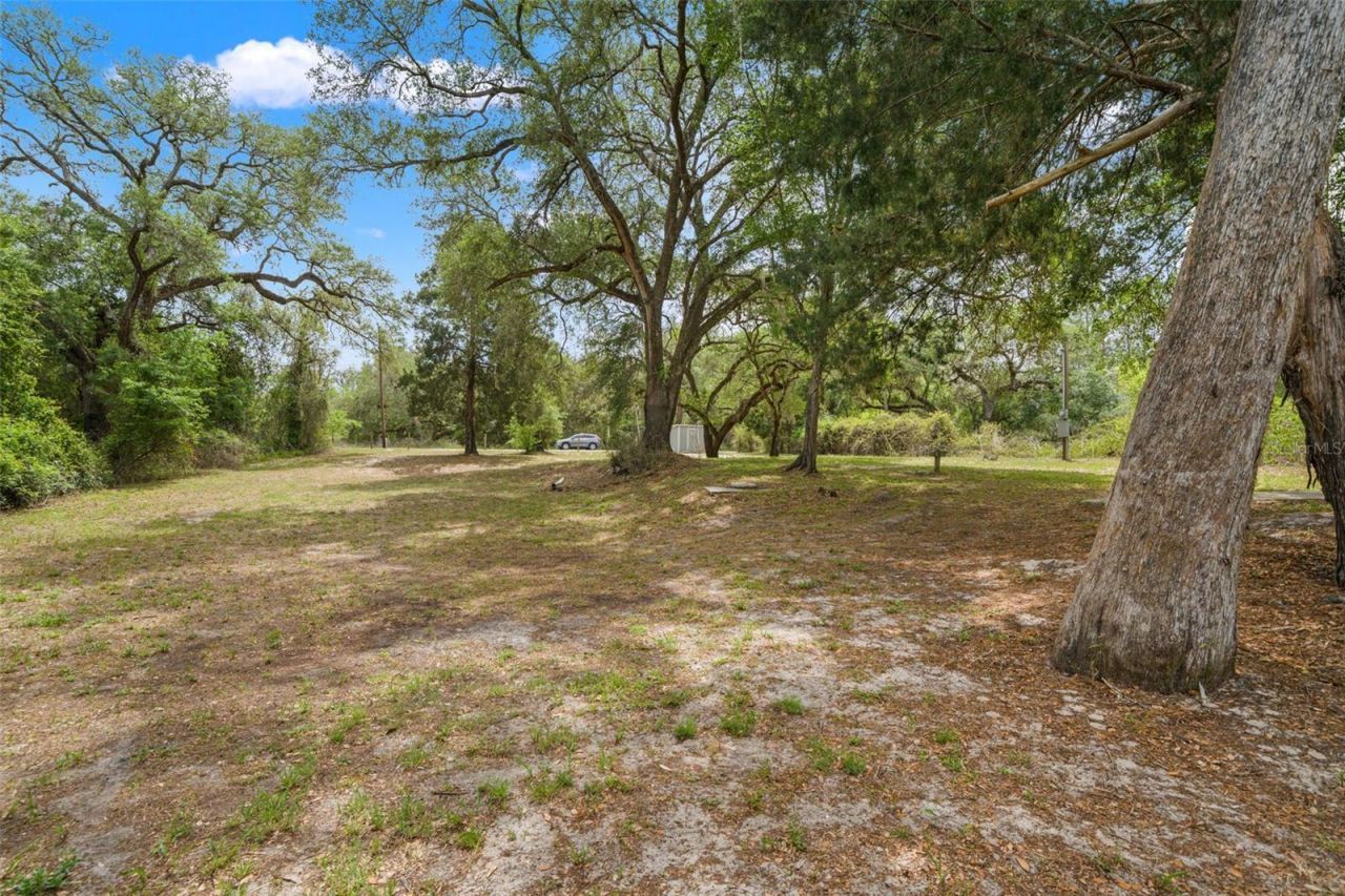 33013 Round Table Road, Ridge Manor, FL 33523 Photo