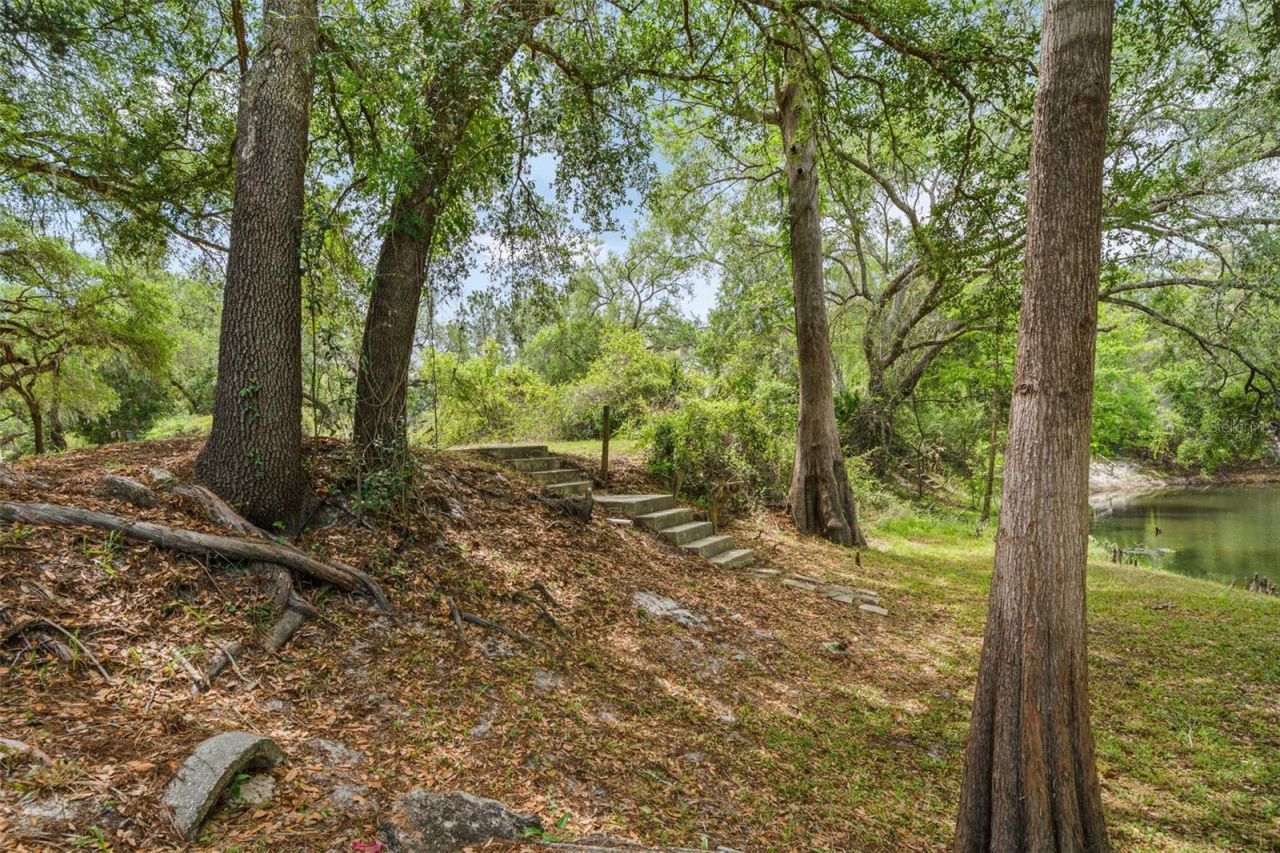 33013 Round Table Road, Ridge Manor, FL 33523 Photo