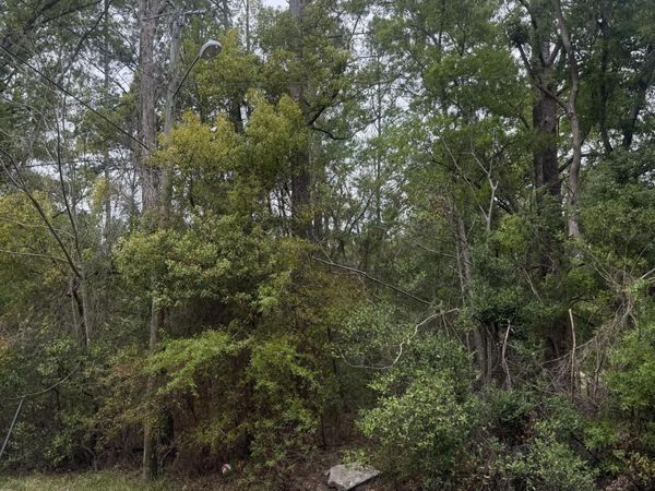 TBD CRUM, Starke, FL 32091