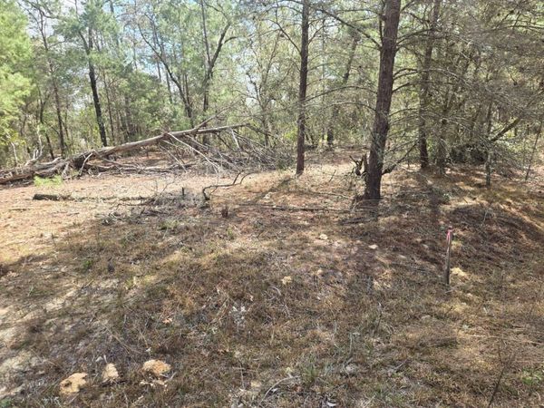 206 WALES STREET, INTERLACHEN, FL 32148