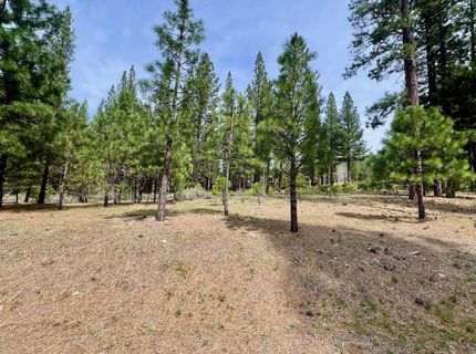153 Saddle Ridge Road, Clio, CA 96106 Photo