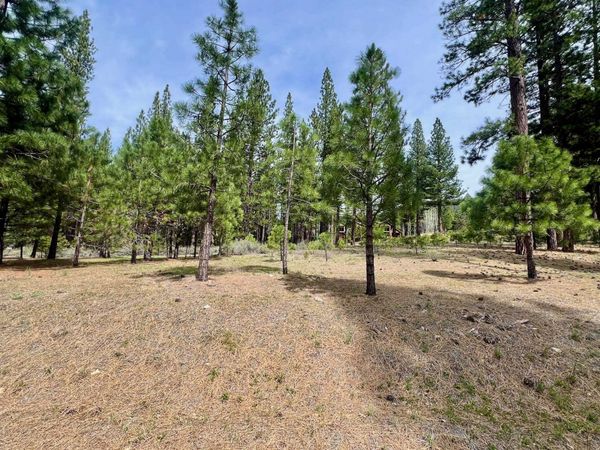 153 Saddle Ridge Road, Clio, CA 96106