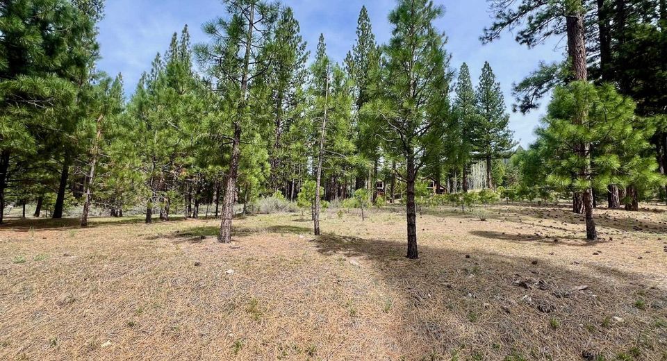 153 Saddle Ridge Road, Clio, CA 96106 Photo