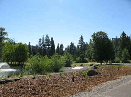 153 Saddle Ridge Road, Clio, CA 96106 Photo