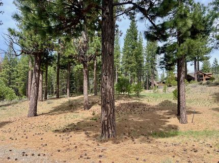 153 Saddle Ridge Road, Clio, CA 96106 Photo
