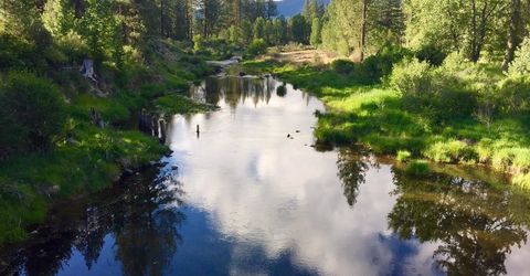153 Saddle Ridge Road, Clio, CA 96106 Photo