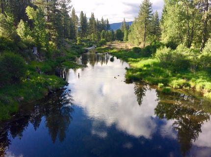 153 Saddle Ridge Road, Clio, CA 96106 Photo