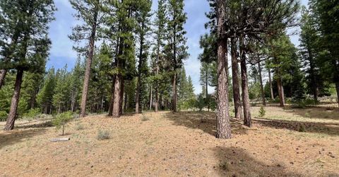 153 Saddle Ridge Road, Clio, CA 96106 Photo