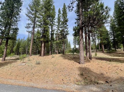 153 Saddle Ridge Road, Clio, CA 96106 Photo