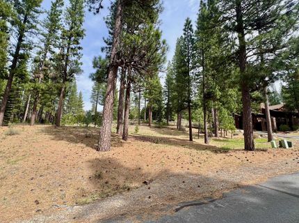 153 Saddle Ridge Road, Clio, CA 96106 Photo