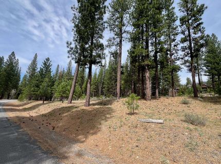 153 Saddle Ridge Road, Clio, CA 96106 Photo